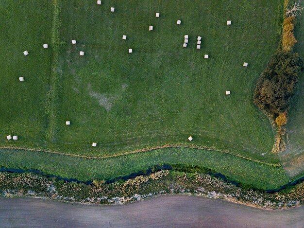 Foto vista ad alto angolo del campo di riso