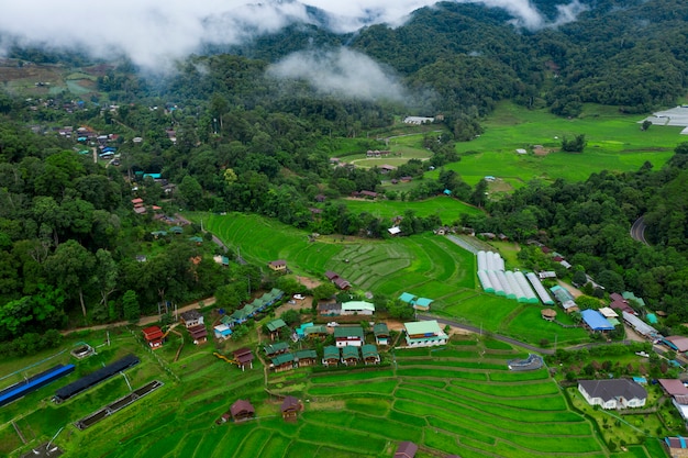 High angle view of rice terrace in chiang mai northern of thailand
