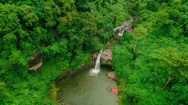 Foto vista ad alto angolo del fiume in mezzo agli alberi della foresta