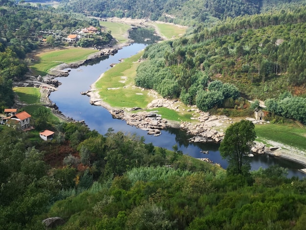 High angle view of river amidst trees