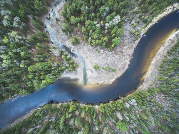 high angle view of river amidst trees