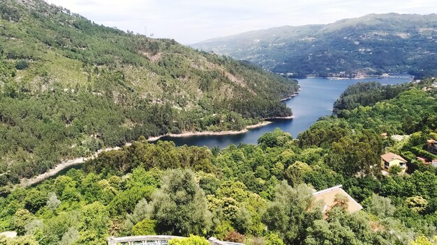 Vista ad alto angolo del fiume in mezzo agli alberi