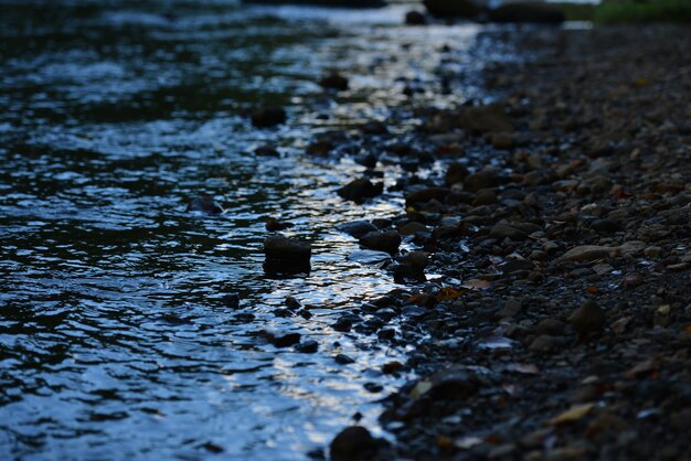 High angle view of river by field