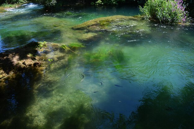 Foto vista ad alto angolo del fiume