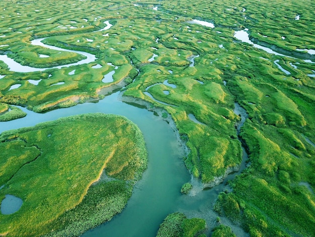 Foto vista ad alto angolo del fiume