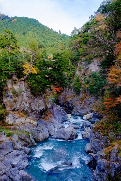 High angle view of river