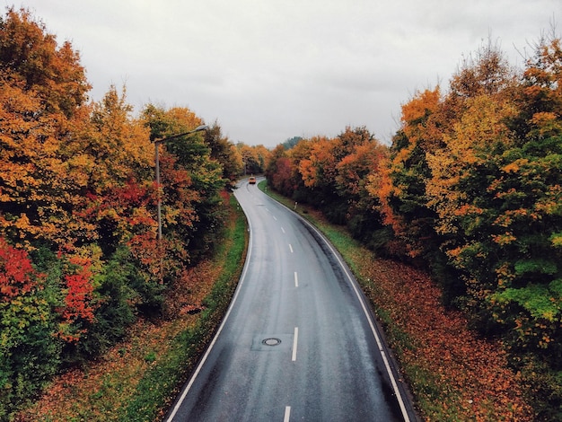 high angle view of road amidst trees during autumn