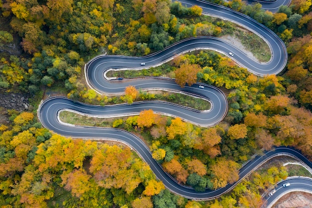 Foto vista ad alta angolazione della strada in mezzo agli alberi durante l'autunno