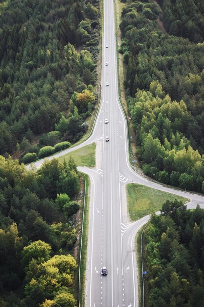 High angle view of road amidst trees in forest