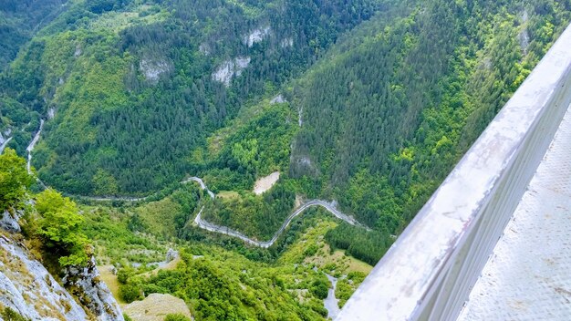 High angle view of road amidst trees in forest