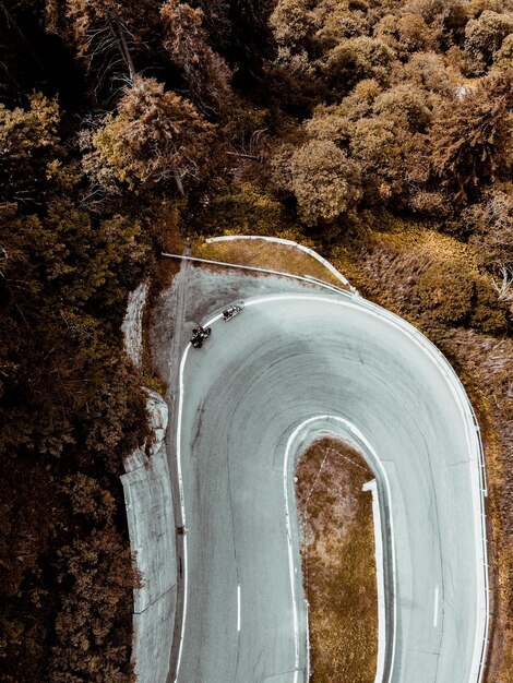 Foto vista ad alto angolo della strada in mezzo agli alberi