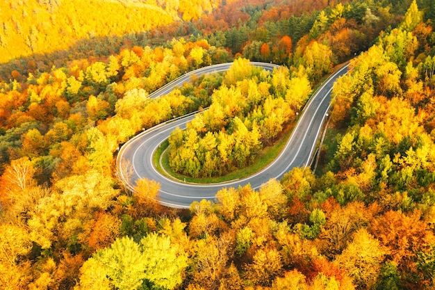 High angle view of road amidst trees