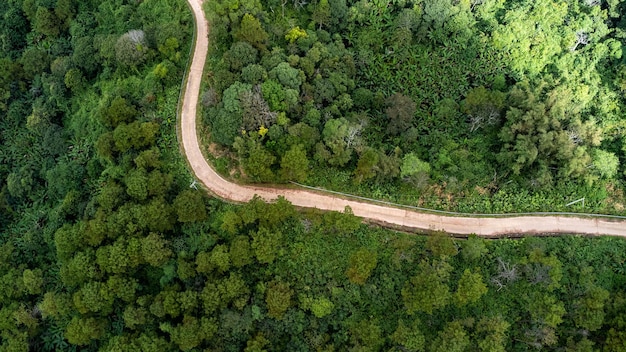 Photo high angle view of road amidst trees