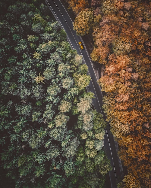 Photo high angle view of road amidst trees