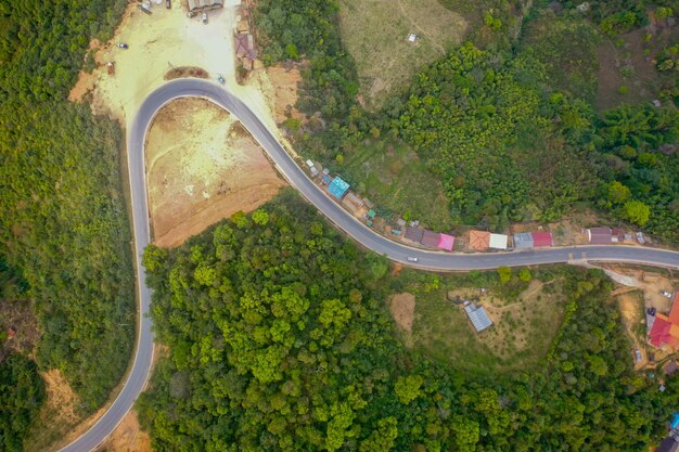 High angle view of road amidst trees