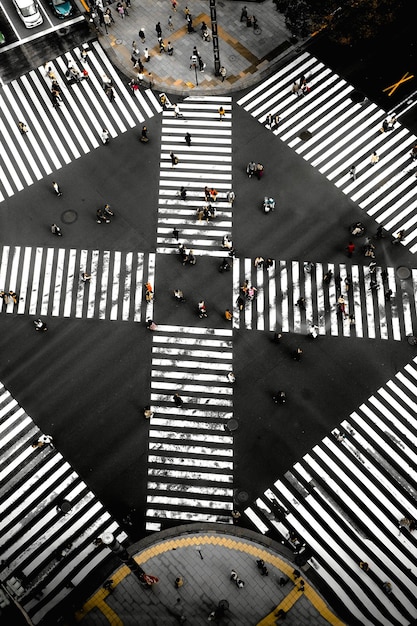 Photo high angle view of road crossing sign