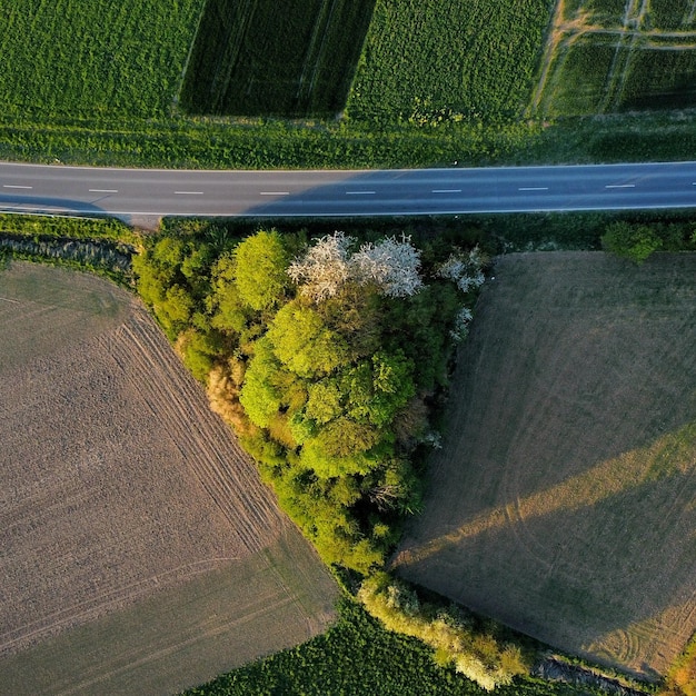 Photo high angle view of road