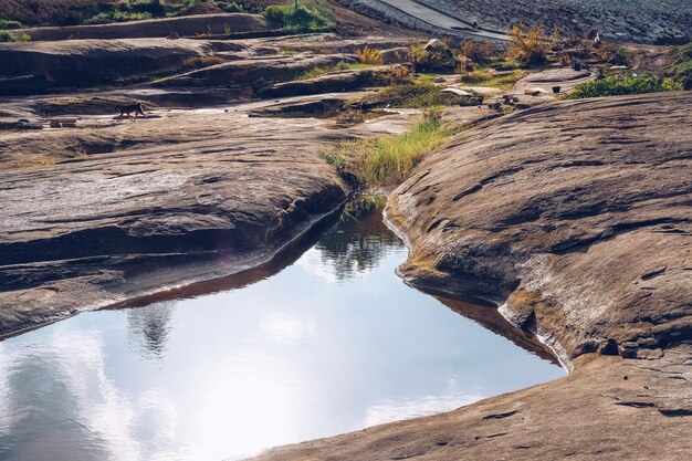 High angle view of rock formation amidst plants