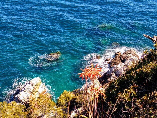 High angle view of rock formation in sea