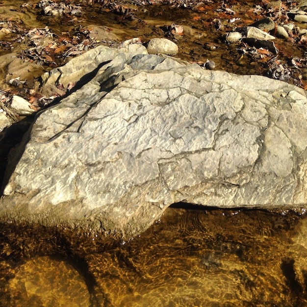 Photo high angle view of rock at ledges state park