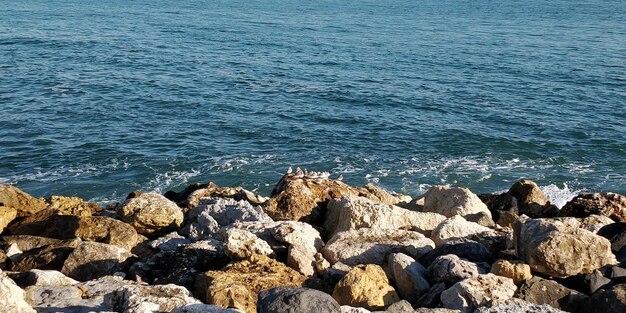 High angle view of rocks on beach