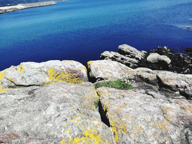 Foto vista ad alta angolazione delle rocce sulla spiaggia