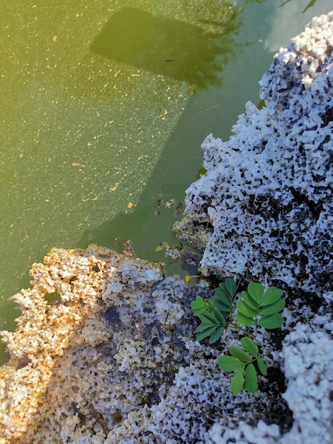 Photo high angle view of rocks by lake