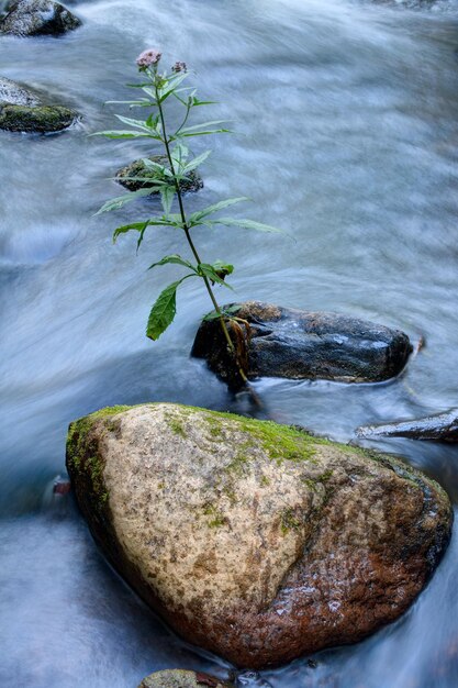 Foto vista ad alto angolo delle rocce dal fiume