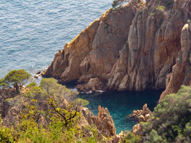 High angle view of rocks on sea shore