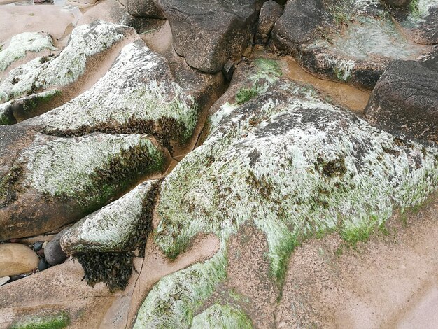 High angle view of rocks in water