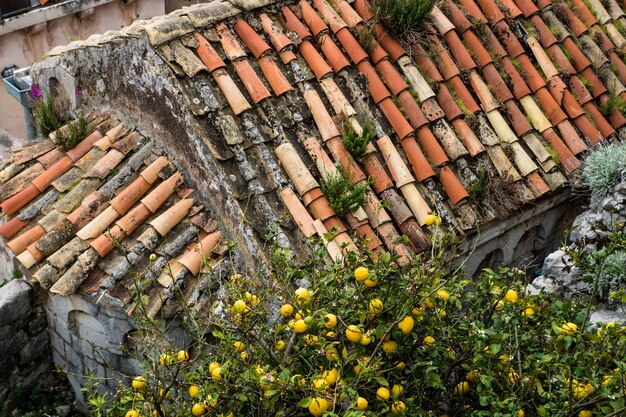 Foto vista ad alto angolo del tetto