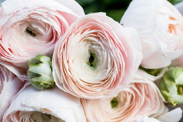 Foto vista ad alto angolo del bouquet di rose