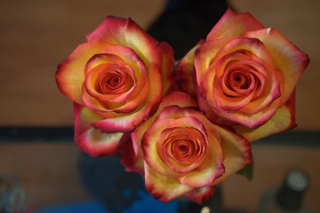 High angle view of rose bouquet