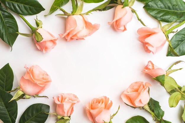 high angle view of rose roses