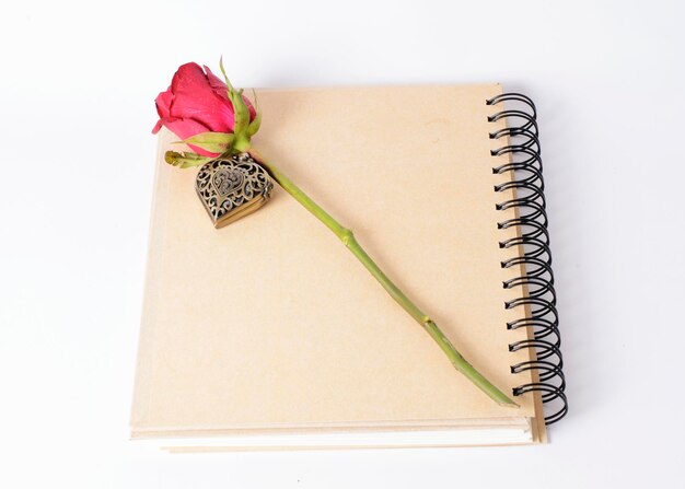 High angle view of rose on spiral notebook against gray background