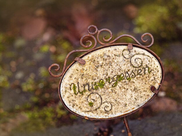 Photo high angle view of rusty metal on plant