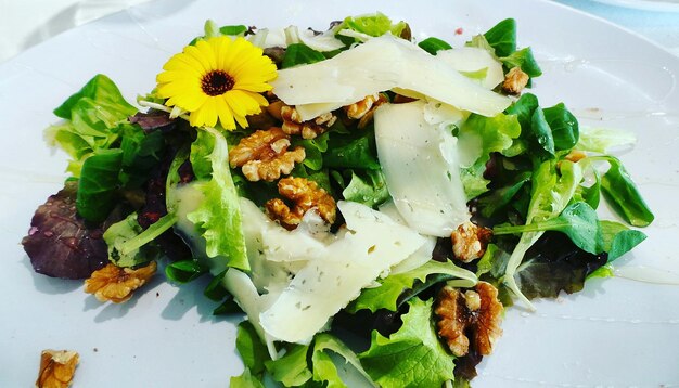 High angle view of salad in plate