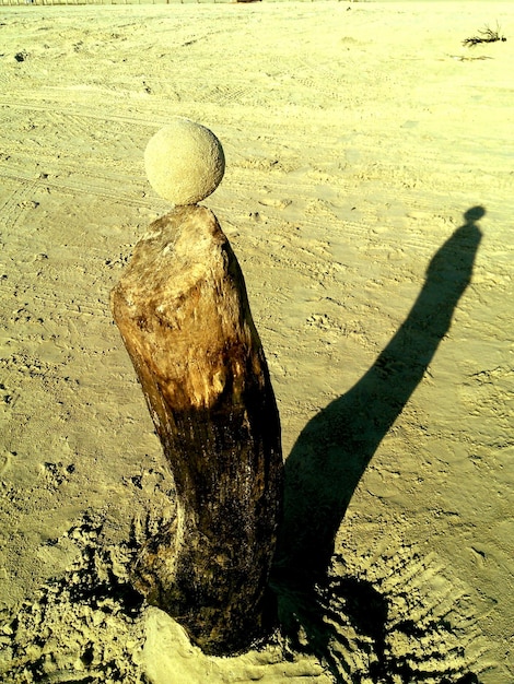 Foto vista ad alta angolazione della palla di sabbia sul legno sulla spiaggia