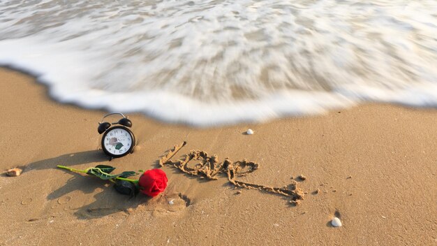 Foto vista ad alta angolazione della spiaggia di sabbia e delle rose in fiore