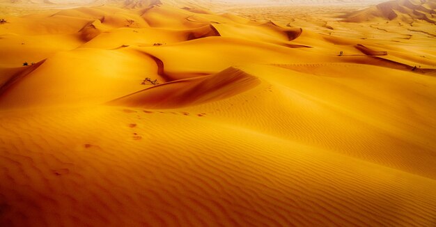 High angle view of sand dune