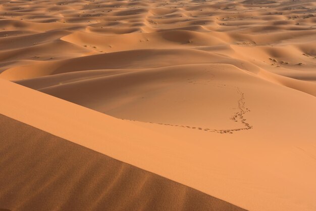 Foto vista ad alto angolo delle dune di sabbia sulla spiaggia