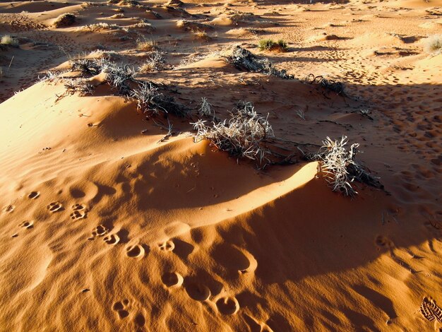 High angle view of sand dunes at beach