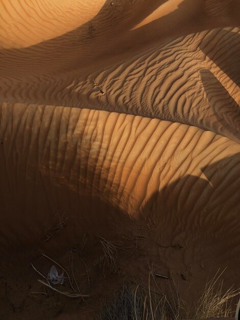 Foto vista ad alto angolo della sabbia