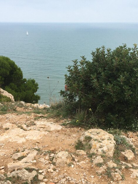 High angle view of sea against sky