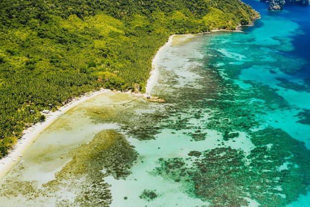 Foto vista ad alto angolo del mare in mezzo agli alberi