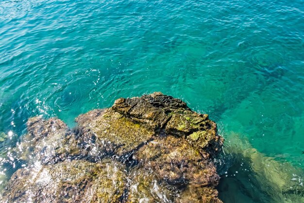 High angle view of sea and rock