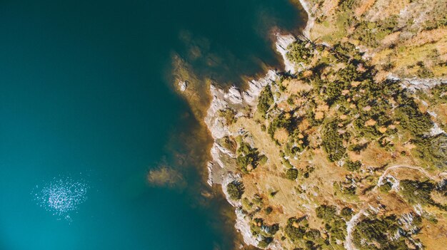 High angle view of sea and rocks