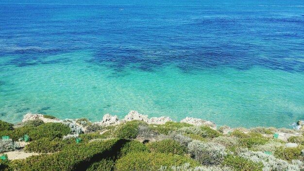 High angle view of sea shore