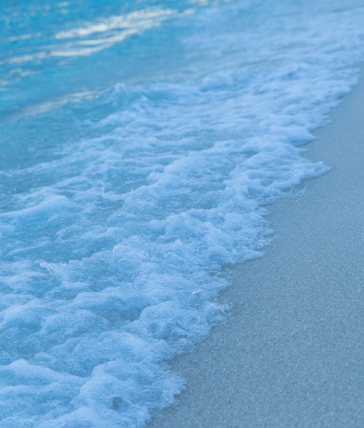Photo 海岸の高角度の景色