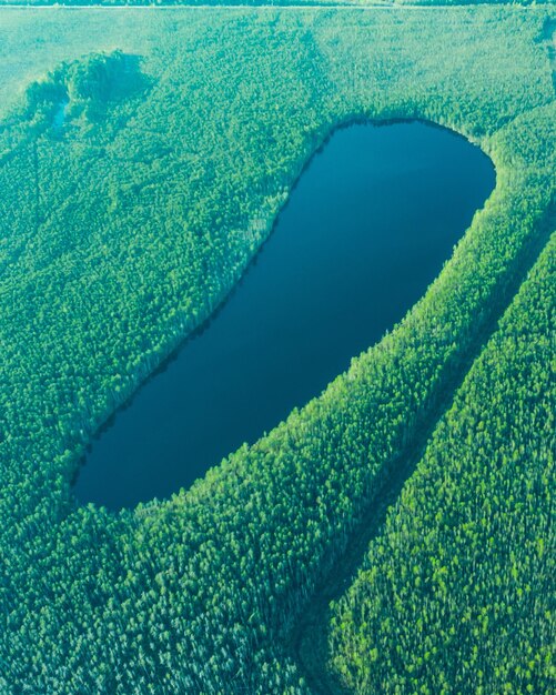 High angle view of sea shore